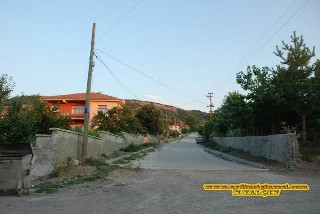 M1EW