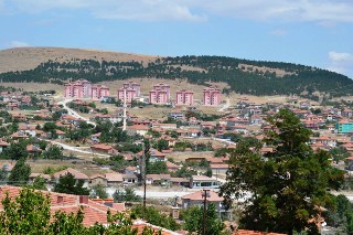 RYQR