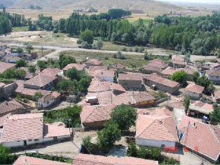 PMN5