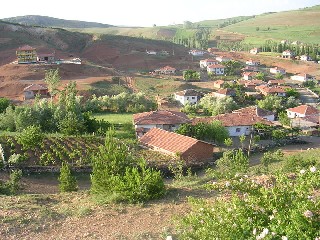 SSM1